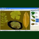 点击查看 LA-S多功能叶面积分析仪系�l?叉����U���A,叉����U�测量��A,叉����U�测定��A 详细